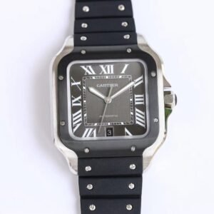 Cartier Santos de Cartier